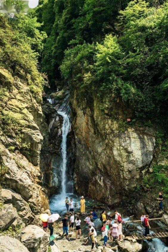 包头鱼平均比去年重三四斤,杭州湘湖年鱼第一网来了